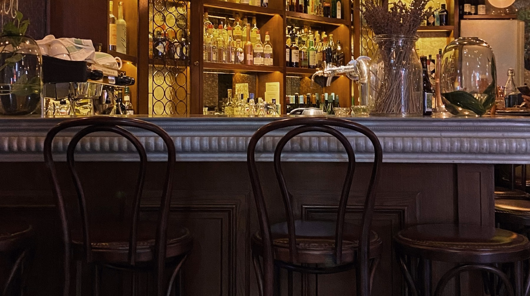 Dark wood restaurant bar counter with bentwood stools and back-bar shelving